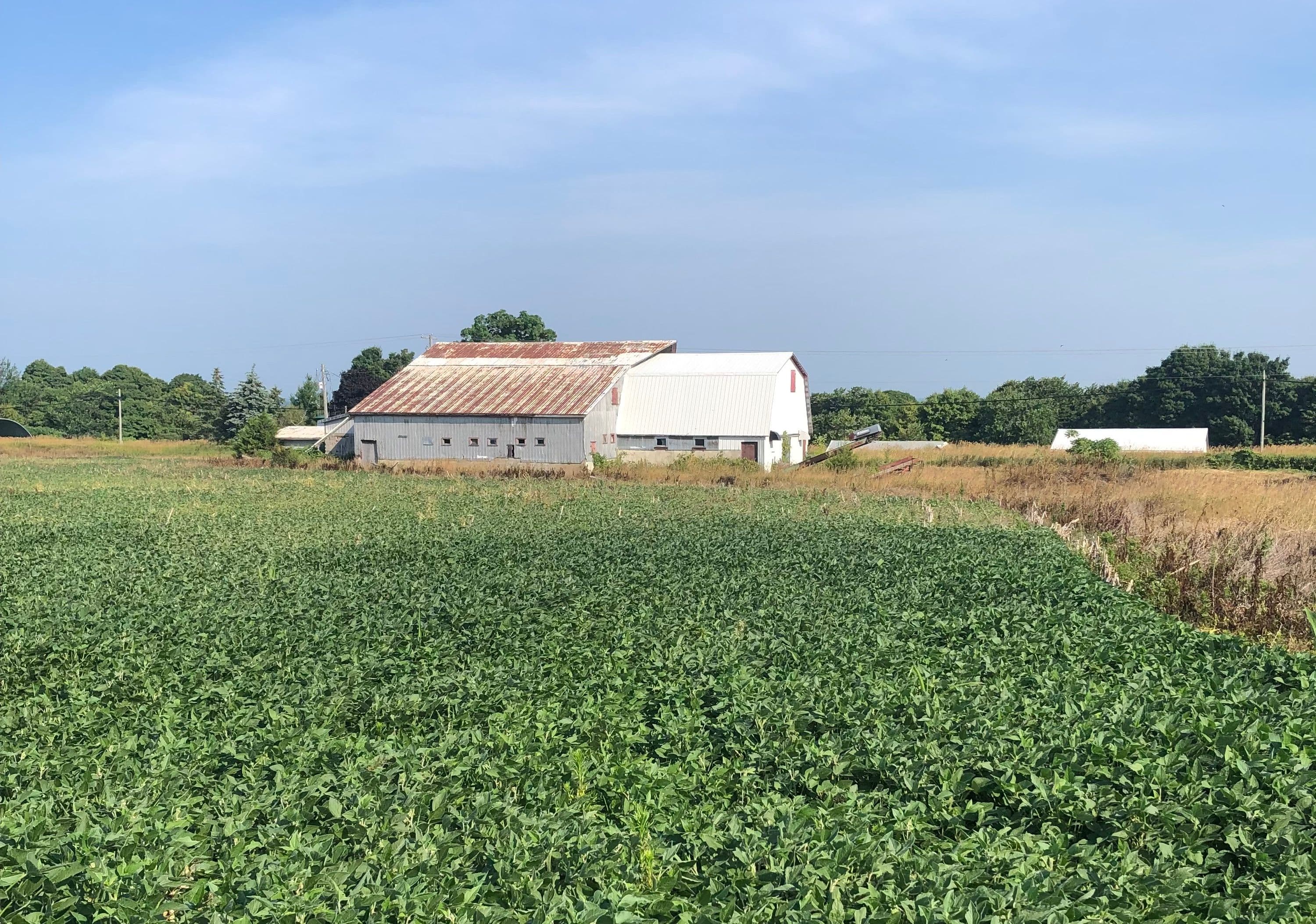 1546 County Road 7 Road W, Prince Edward County, ON K0K 2T0