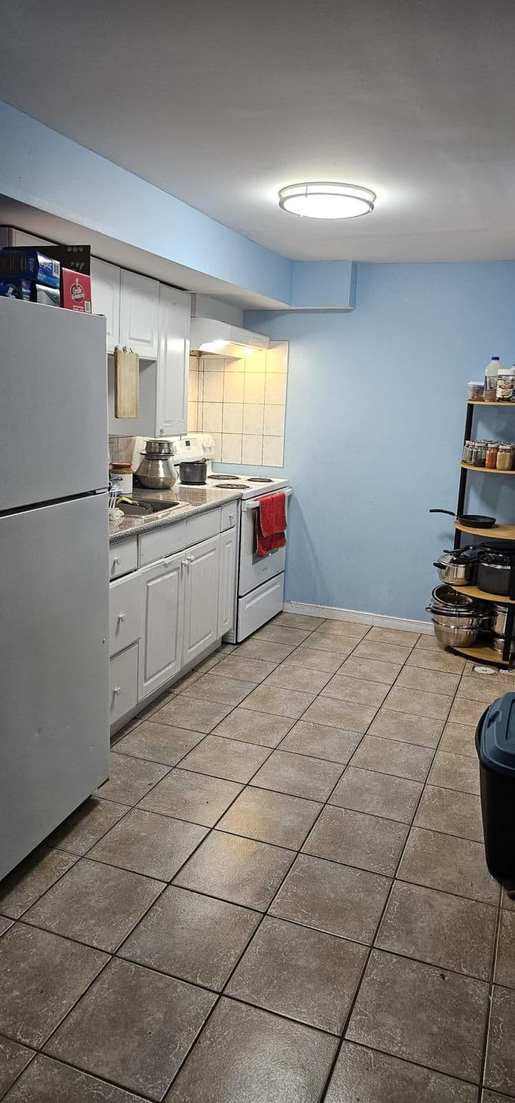 635 Staines Road Bsmt, Toronto E11, ON M1X 2A7