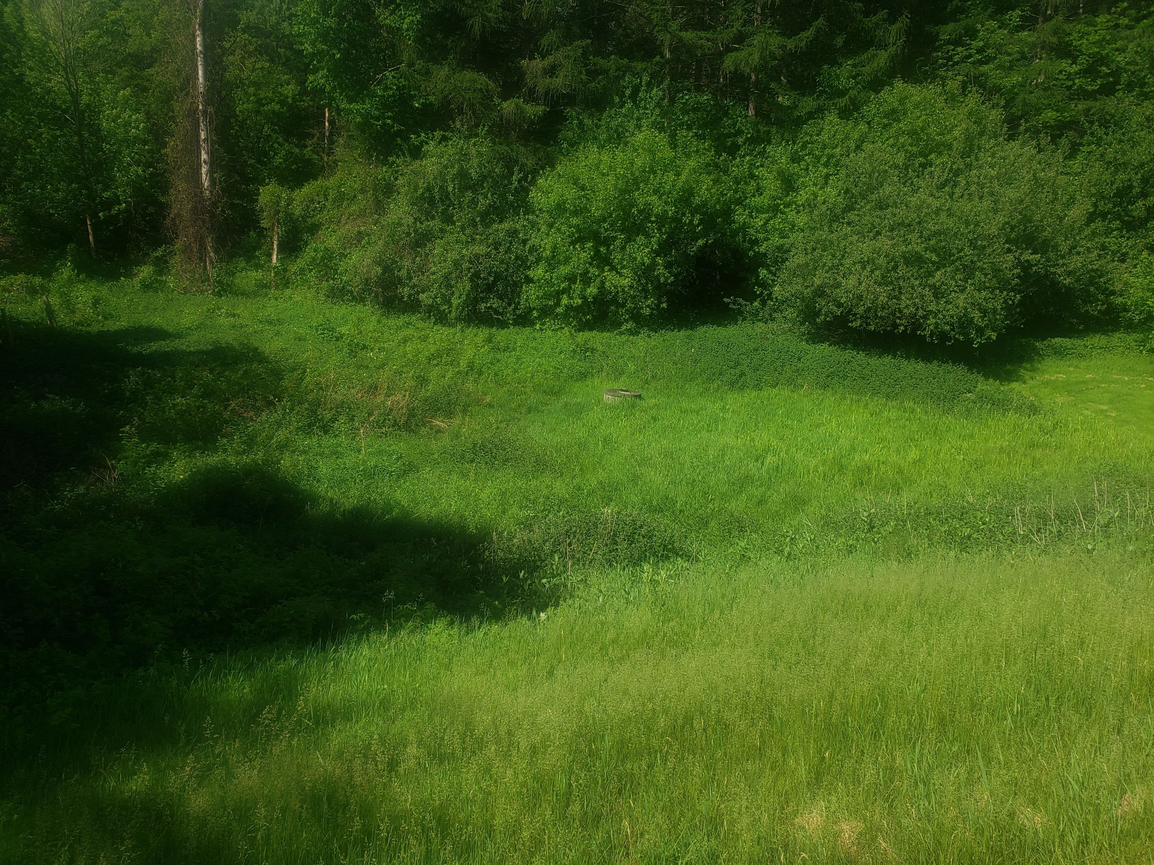 Part 3 Main Street 19904, Caledon, ON L7K 0C2