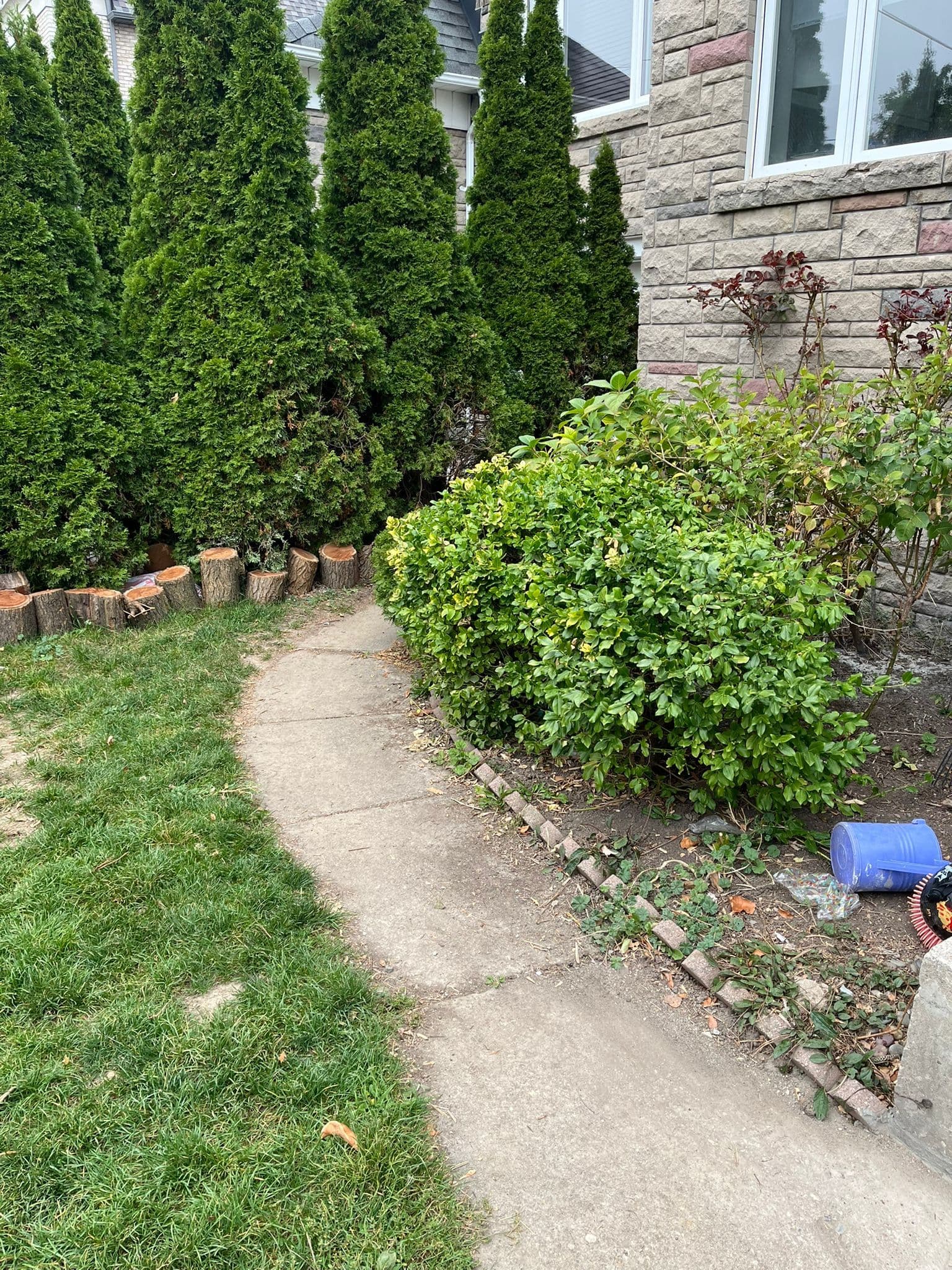 98 Frontenac Avenue 2, Toronto C04, ON M5N 1Z9