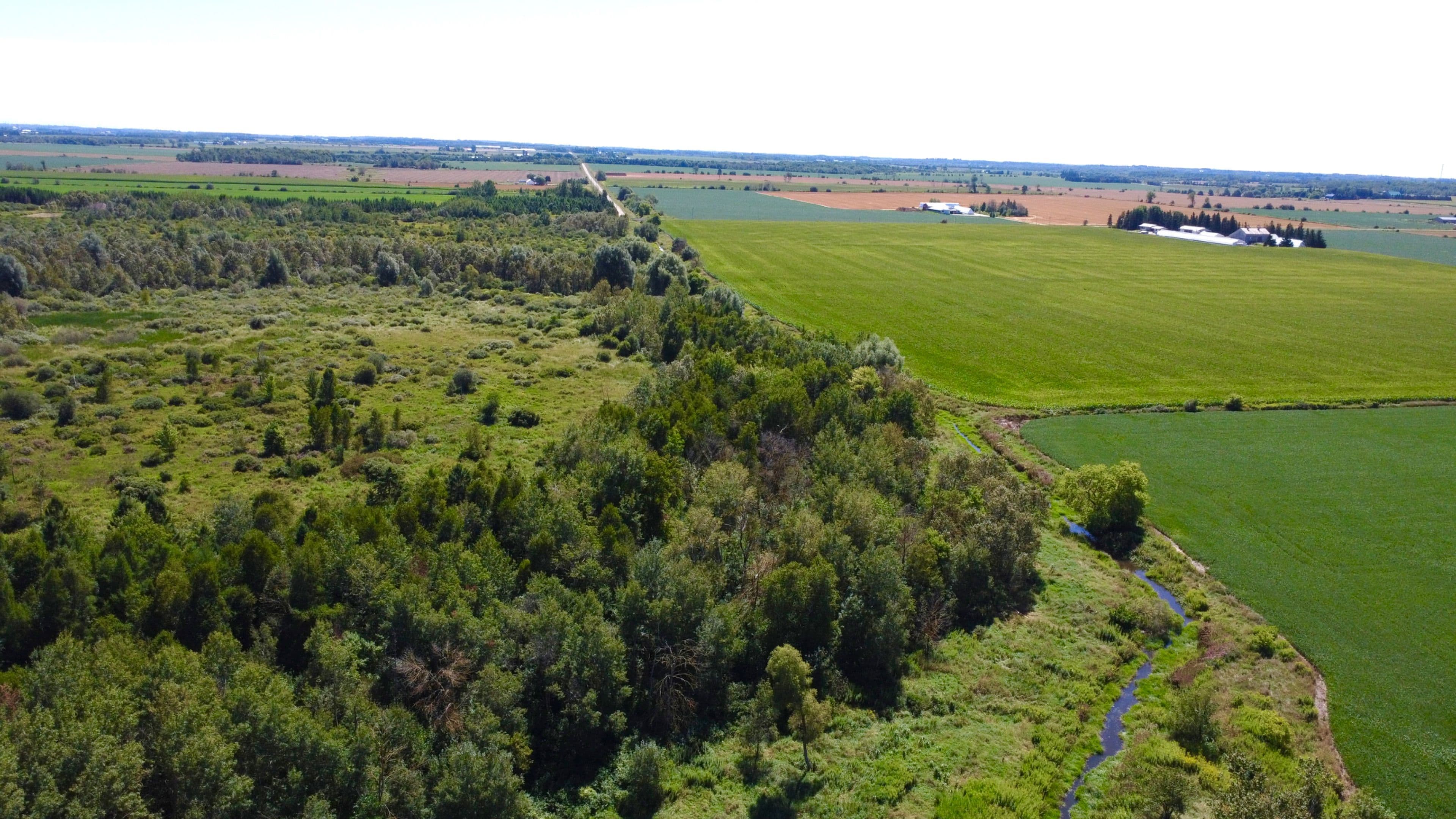 LT26&27 Wellington Rd 109 N/A N, Wellington North, ON N0G 1A0