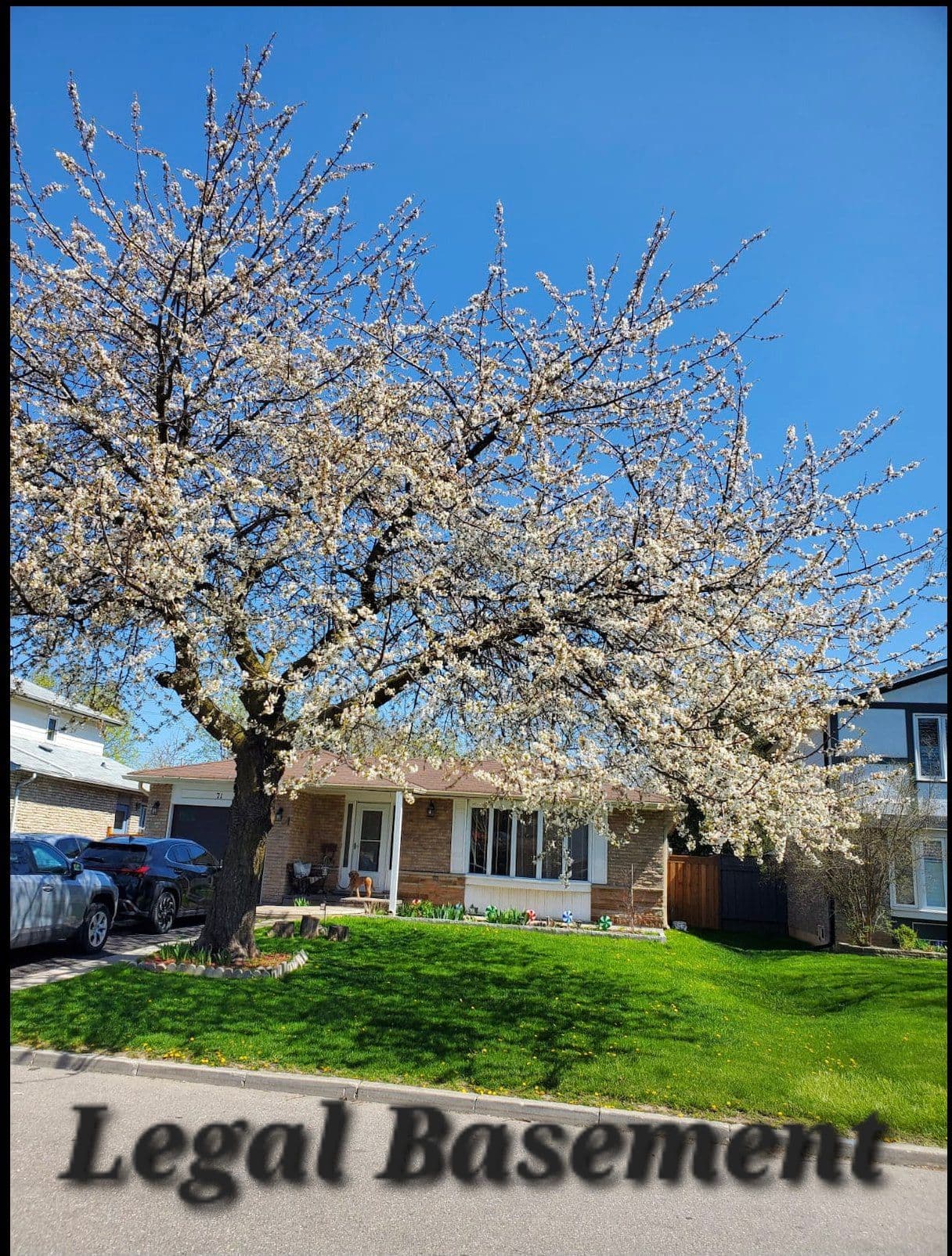 71 Grassington Crescent, Brampton, ON L6S 1Z5