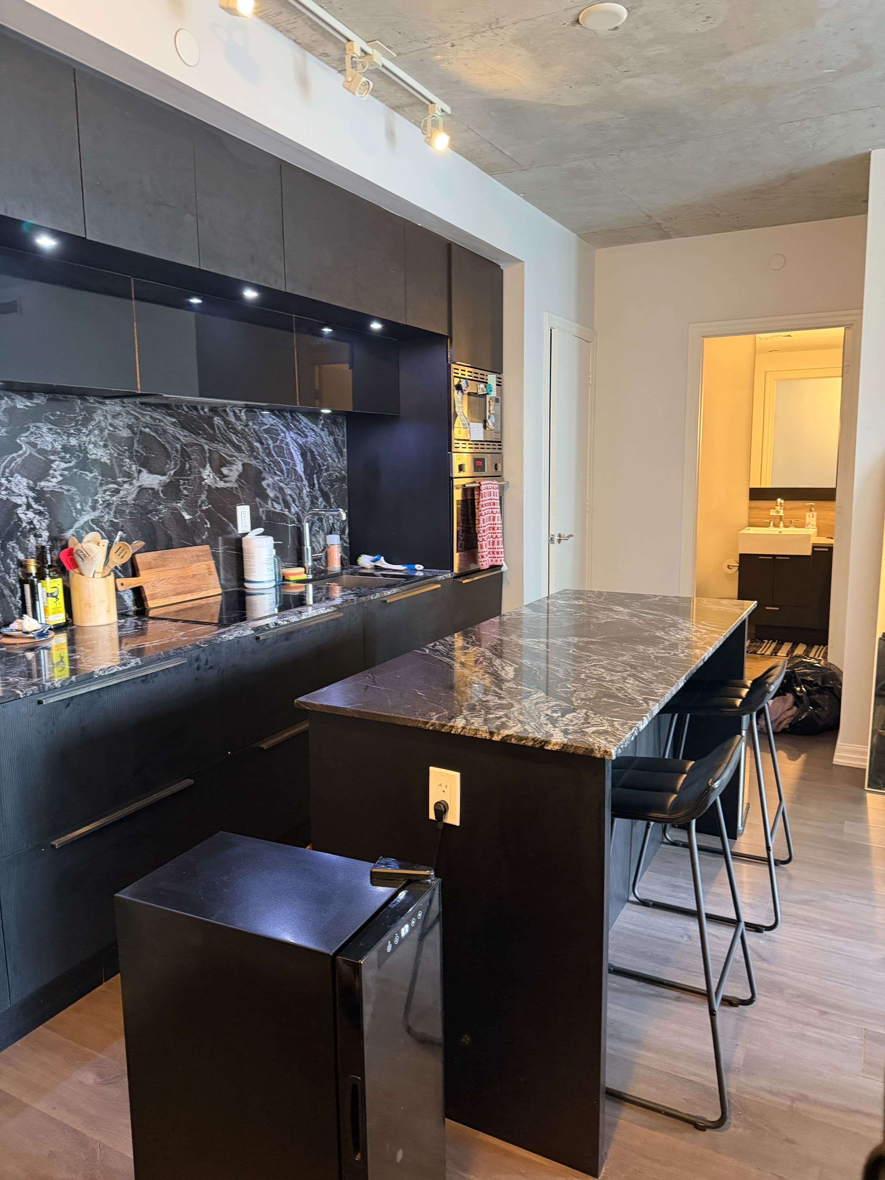 88 Blue Jays Way 1201, Toronto C01, ON M5V 0L7